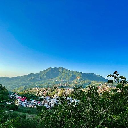 Cottage 5 Solan Dış mekan fotoğraf