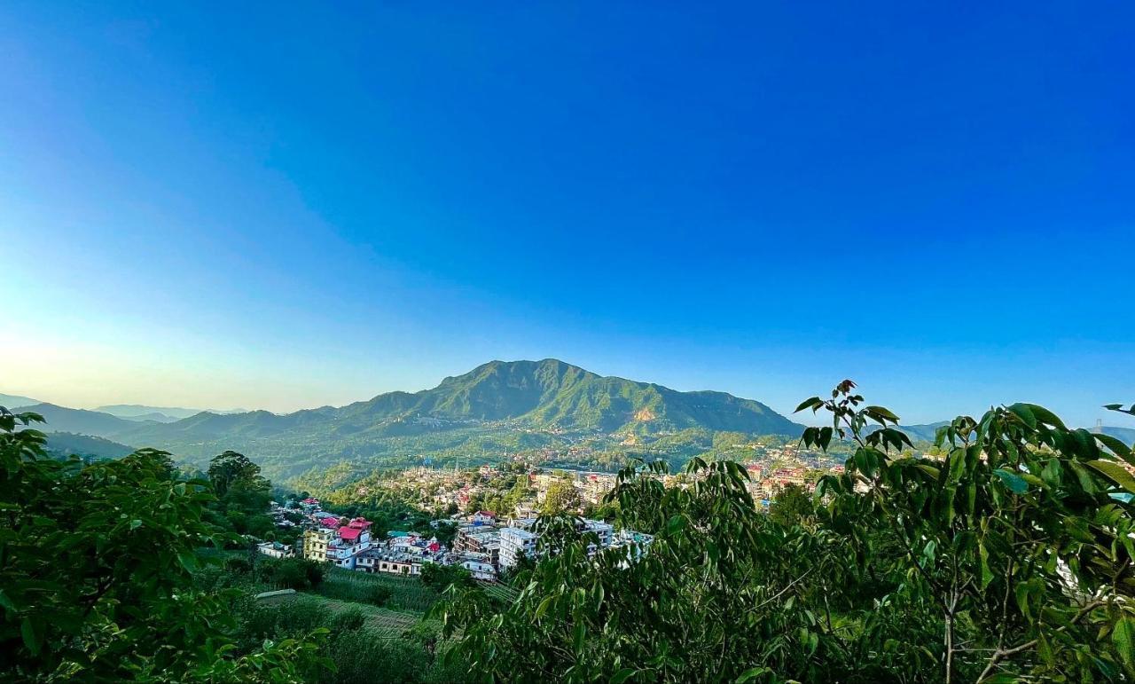 Cottage 5 Solan Dış mekan fotoğraf