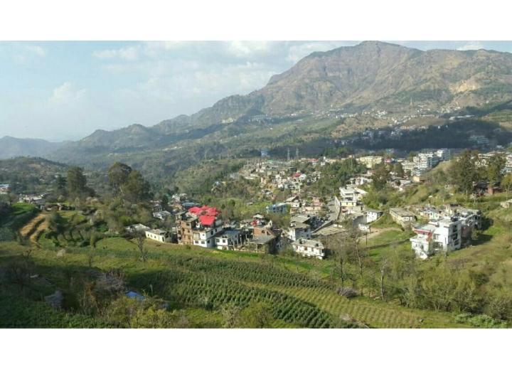 Cottage 5 Solan Dış mekan fotoğraf